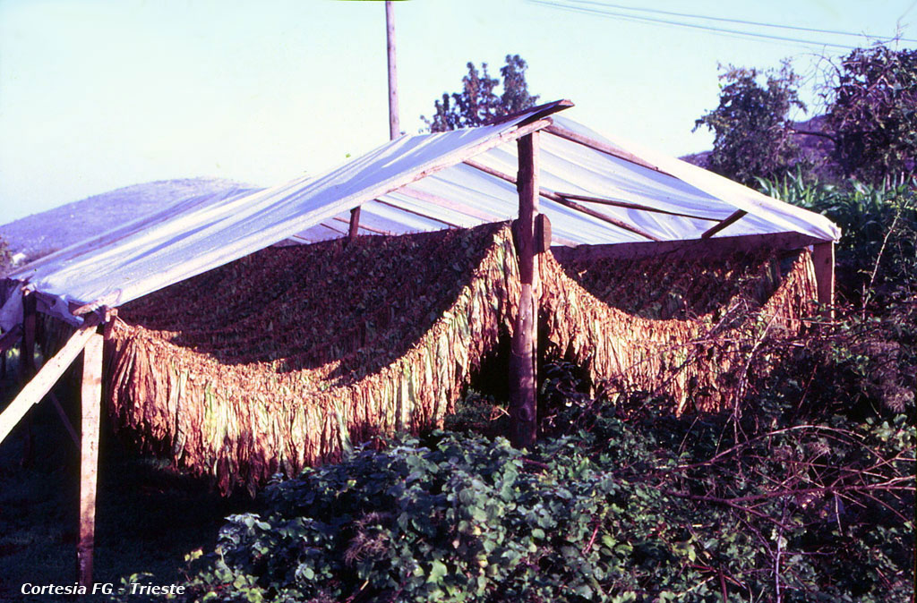 Medjugorje 1983