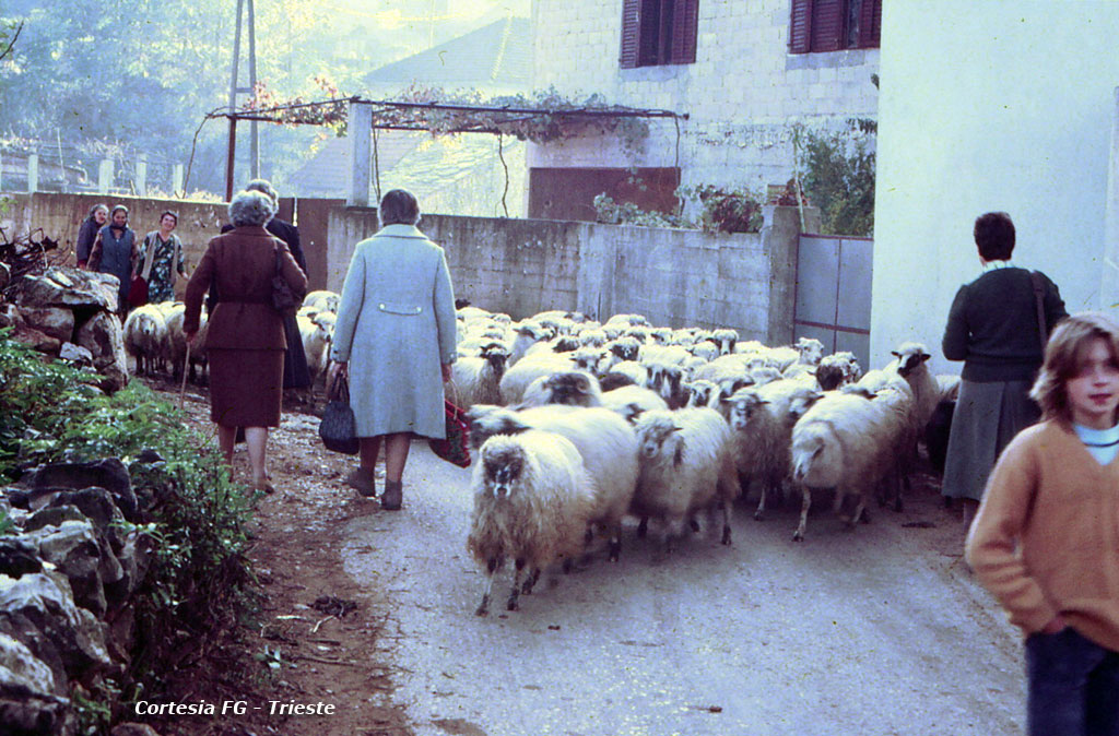 Medjugorje 1983