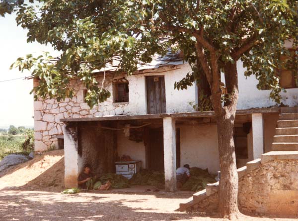 Medjugorje 1983