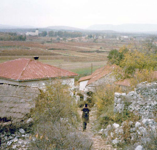 Verso la collina 1984