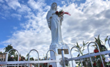 Medjugorje. La Madonna ci dice che anche il più piccolo fiore ci parla della bellezza di Dio