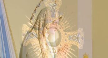 Adorazione Eucaristica – Međugorje – Giovedì 11 Febbraio 2021 – fra Renato Galić